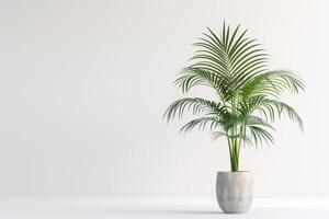 stel je voor een slank palm boom groeit in een modern pot. foto