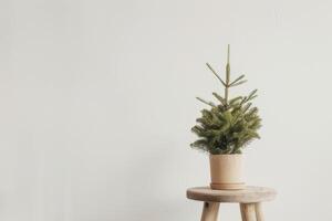 weelderig planten in klein potten weergegeven Aan minimalistische houten stoelen. foto