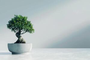 een bonsai boom geplant in een netjes, minimalistische pot. foto