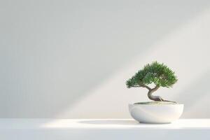 een bonsai boom geplant in een netjes, minimalistische pot. foto