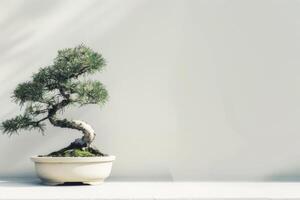 een bonsai boom geplant in een netjes, minimalistische pot. foto