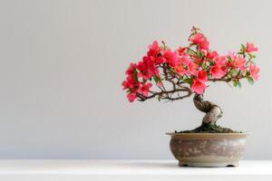 haar levendig bloemen staan uit tegen de eenvoud van de wit achtergrond. foto