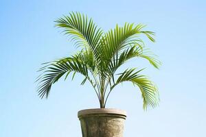 helder gekleurde ingemaakt palm bomen staan tegen de backdrop van de blauw lucht. foto