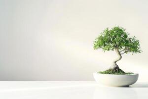 een bonsai boom geplant in een netjes, minimalistische pot. foto