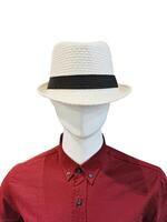 de mannequin is vervelend een hoed en een rood shirt. foto