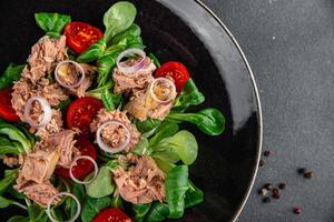 tonijn salade, tomaat, groen blad sla, ui gezond aan het eten Koken voorafje maaltijd voedsel tussendoortje Aan de tafel kopiëren ruimte voedsel achtergrond rustiek top visie foto