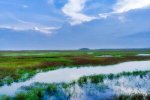 wetlands van zuidelijk Thailand. foto