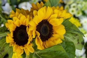 dichtbij omhoog bloemen in de bruiloft foto