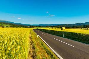 een lege weg tussen landbouwvelden die naar de bergen leidt. oostenrijks plattelandslandschap foto