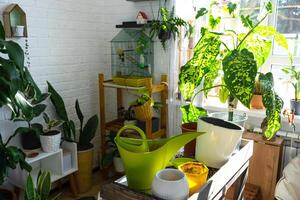 tafel voor verplanten huis ingemaakt planten met bodem, lepel, potten, gieter kan in interieur van groen huis. hobby en bedrijf van zorgzaam voor en groeit tropisch bijzonder exotisch planten foto