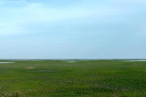 droogte van meer wetlands foto