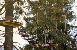 touw brug in avontuur boomtop park voor boom beklimming en sport, boomkwekerij of accrobranche touwen cursussen, ritssluiting draden buitenshuis foto