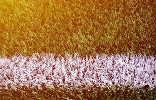 wit streep Aan een helder groen kunstmatig gras voetbal veld- foto