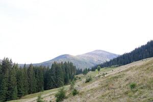 monteren hoverla hangende top van de oekraïens Karpaten tegen de achtergrond van de lucht foto