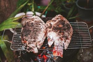 de robijn vis is gecoat met zout en geplaatst Aan een houtskool rooster in een klei oven. foto