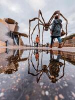 Bilbao, bizkaia, Spanje, 2024 - Guggenheim museum Bilbao architectuur, kunst en cultuur, reizen bestemmingen foto