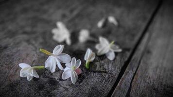 top visie van een bundel van jasmijn bloemen Aan een oud houten tafel. foto