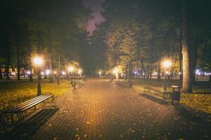 nacht park in herfst met gedaald geel bladeren.stad nacht park in gouden herfst met lantaarns, gedaald geel bladeren en esdoorn- bomen. wijnoogst film stijlvol. foto