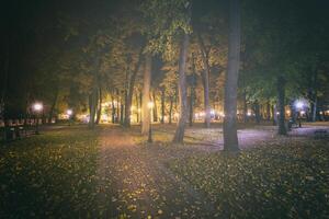 nacht park in herfst met gedaald geel bladeren.stad nacht park in gouden herfst met lantaarns, gedaald geel bladeren en esdoorn- bomen. wijnoogst film stijlvol. foto