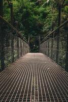 oerwoud brug perspectief foto