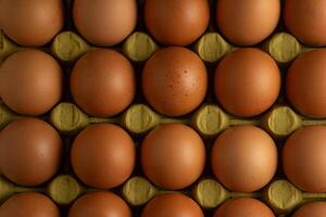 een netjes geregeld rij van bruin kip eieren in een karton karton. de eieren zijn gelijkmatig uit elkaar geplaatst, markeren hun uniformiteit. de zacht licht afgietsels teder schaduwen, creëren een warm, uitnodigend atmosfeer. foto