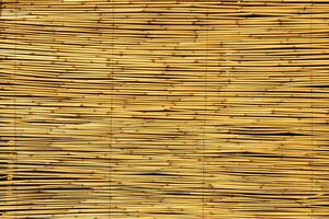 structuur van oosters bamboe gordijnen. abstract achtergrond. foto