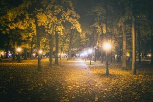 nacht park in herfst met gedaald geel bladeren.stad nacht park in gouden herfst met lantaarns, gedaald geel bladeren en esdoorn- bomen. wijnoogst film stijlvol. foto