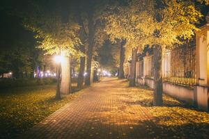 nacht park in herfst met gedaald geel bladeren.stad nacht park in gouden herfst met lantaarns, gedaald geel bladeren en esdoorn- bomen. wijnoogst film stijlvol. foto