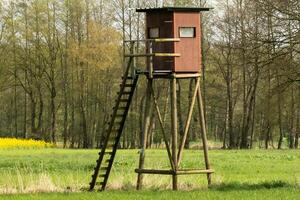 hoog staan voor jagers in de weide foto