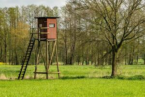 hoog staan voor jagers in de weide foto