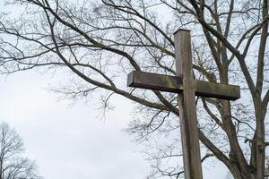 groot kruis in voorkant van een boom foto