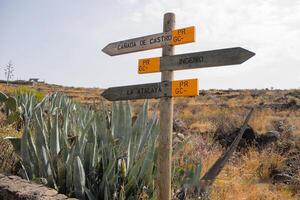 geweldig hoeken van oma kanarie, maspalomen, roque nublo, las palma's, puerto mogan, mirador del balkon, en playa de amadores foto