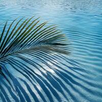 schaduwen van palm bladeren Aan kabbelend blauw water oppervlak, tropisch achtergrond foto