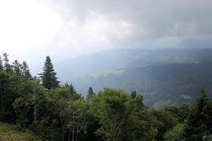 een visie van de oostenrijks platteland Bij st gilgen foto