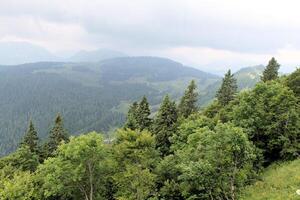 een visie van de oostenrijks platteland Bij st gilgen foto