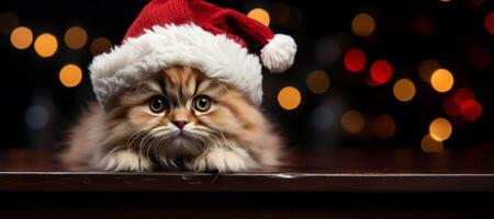 ai gegenereerd nieuw jaar kat met de kerstman claus hoed generatief ai foto