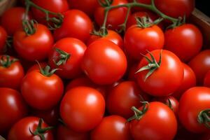 ai gegenereerd rood tomaten structuur generatief ai foto