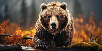 ai gegenereerd beer in de herfst Woud generatief ai foto