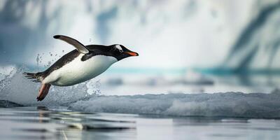 pinguïn Aan ijs arctisch foto