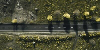 voorjaar bloesems langs de weg visie van bovenstaand foto