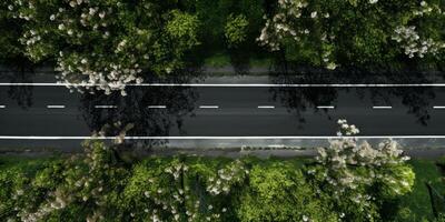 voorjaar bloesems langs de weg visie van bovenstaand foto