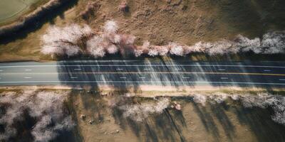 voorjaar bloesems langs de weg visie van bovenstaand foto