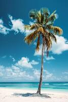 palm boom en wit zand tegen de achtergrond van de azuur oceaan foto