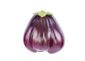 grote verse paarse aubergine geïsoleerd op een witte achtergrond. foto