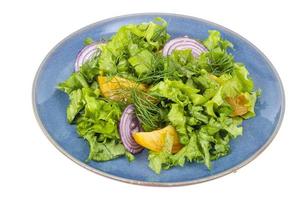 groentegerechten, fitnessmenu. blauw bord met salade op witte achtergrond. foto