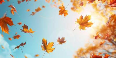 herfst blad vallen geel bladeren herfst foto