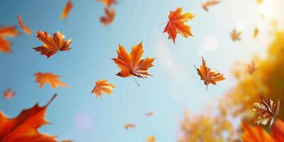 herfst blad vallen geel bladeren herfst foto