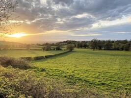 een visie van de Cheshire platteland Bij peckforton foto