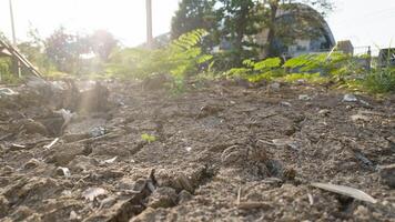 natuur droog dor woestijn landschap buitenshuis milieu droogte achtergrond land- zand dor klimaat sluw zomer reizen berg weer Nee mensen heet aarde aarde Oppervlakte modder zon fabriek duin geologie oppervlakte zon foto