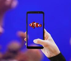 clown vis gefotografeerd met mobiel telefoon. foto